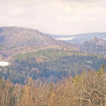 Villa Willa "Sniezna Kopa"-Agroturystyka Pro Zdrowotna Sosnówka Exterior foto