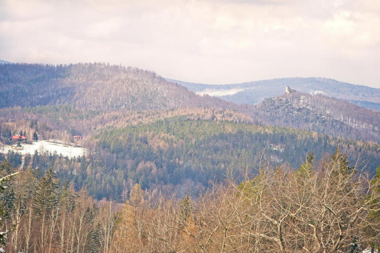 Villa Willa "Sniezna Kopa"-Agroturystyka Pro Zdrowotna Sosnówka Exterior foto