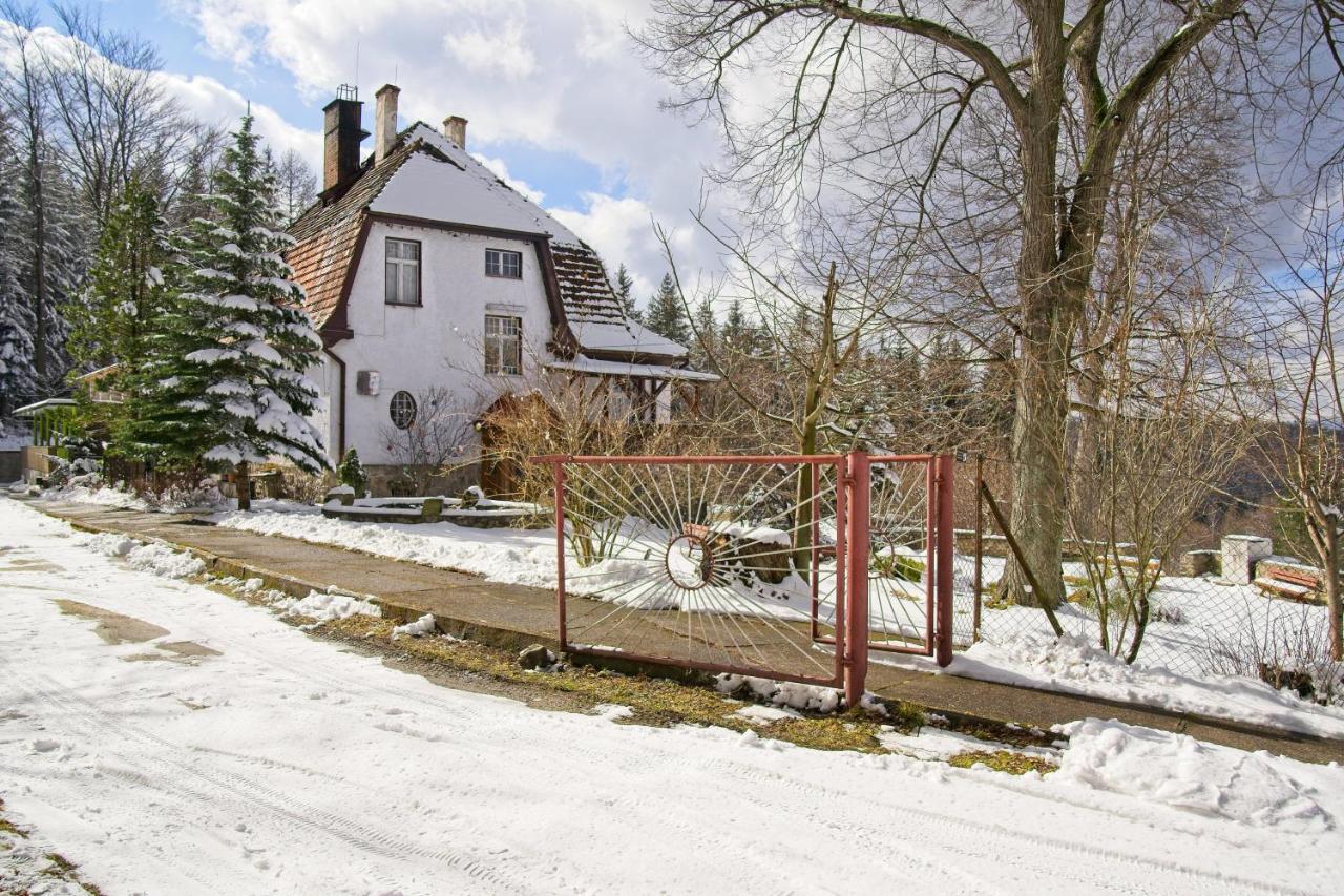 Villa Willa "Sniezna Kopa"-Agroturystyka Pro Zdrowotna Sosnówka Exterior foto