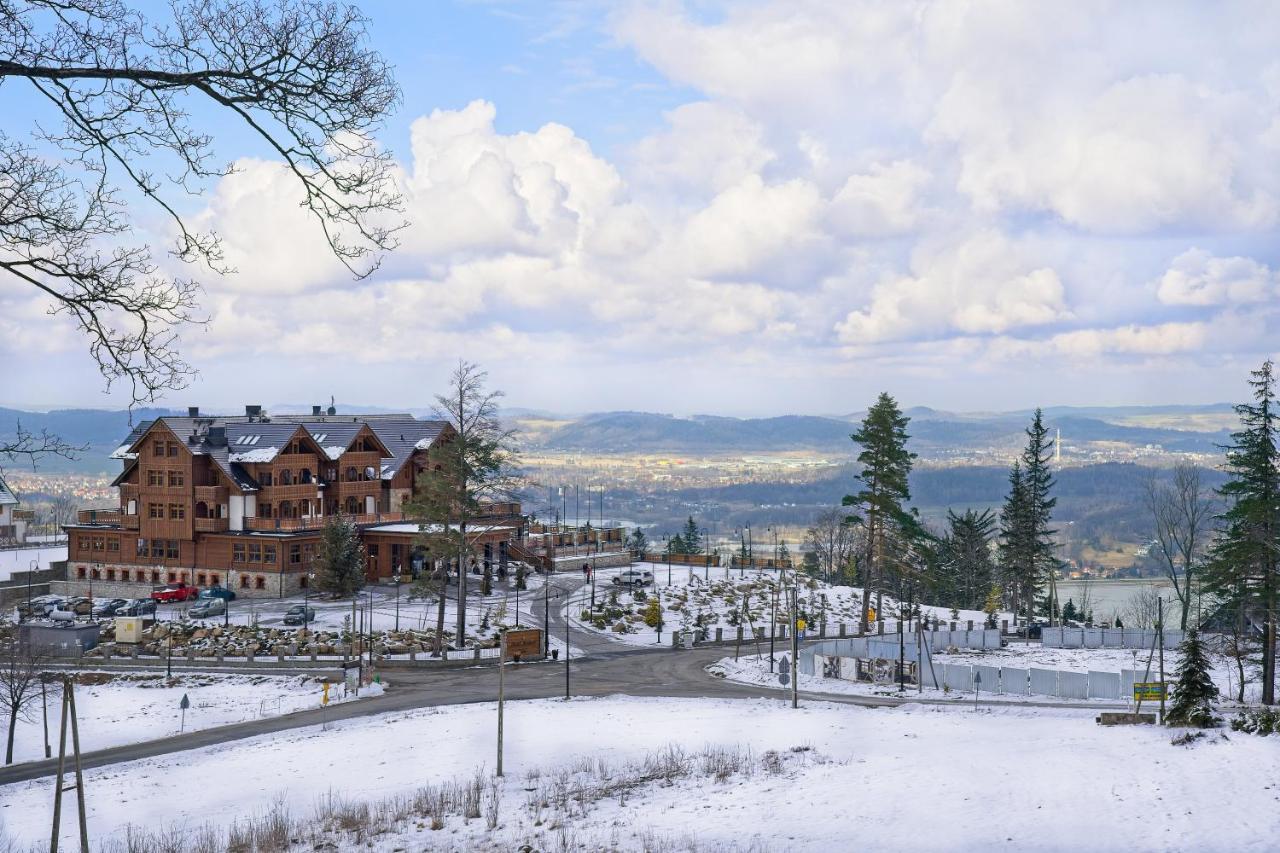 Villa Willa "Sniezna Kopa"-Agroturystyka Pro Zdrowotna Sosnówka Exterior foto