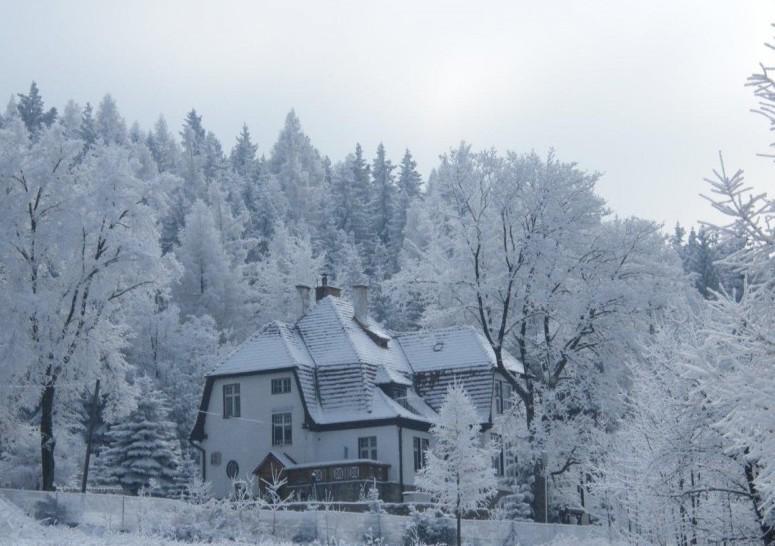 Villa Willa "Sniezna Kopa"-Agroturystyka Pro Zdrowotna Sosnówka Exterior foto